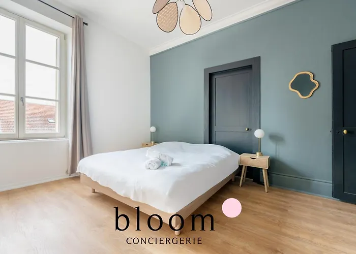 Le Drouin D Standing Neuf 낭시